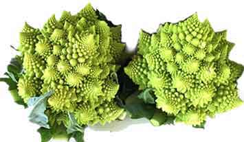 กะหล่ำโรมาเนสโก (Romanesco) หรือกะหล่ำดอกเจดีย์