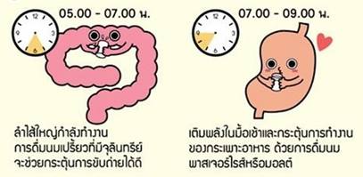 ดื่มนมตามนาฬิกาชีวิตช่วยบำรุงอวัยวะในร่างกาย